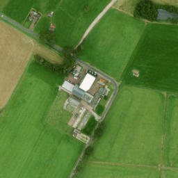 Satellite imagery of O I, NL