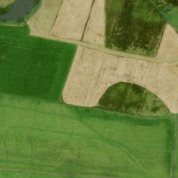 Satellite imagery of O I, NL