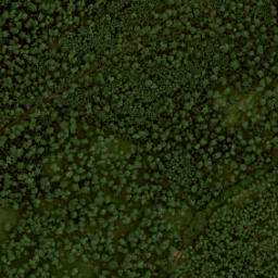 Satellite imagery of Braspol, NL