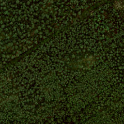 Satellite imagery of Braspol, NL