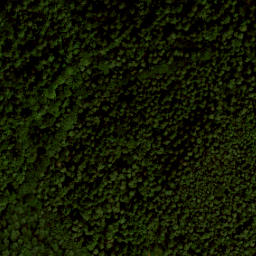 Satellite imagery of boundary_stone, NL
