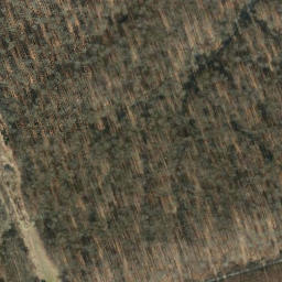 Satellite imagery of Reesberg, DE