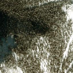 Satellite imagery of Normandy Peak, CA