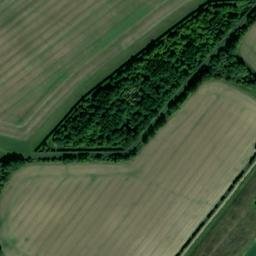 Satellite imagery of Elmdon Castle Grove, GB