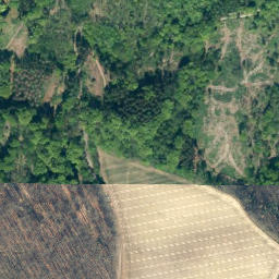 Satellite imagery of Rebenstein, DE