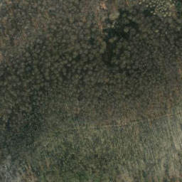 Satellite imagery of Hörzen, DE