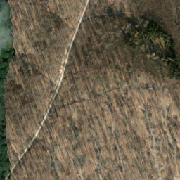 Satellite imagery of Reesberg, DE