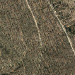Satellite imagery of Meineberg, DE
