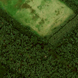 Satellite imagery of boundary_stone, NL