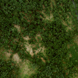 Satellite imagery of Huize Maarsbergen, NL