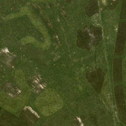 Satellite imagery of Middenpol, NL