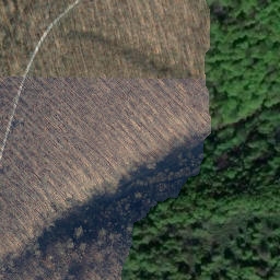 Satellite imagery of Hainberg, DE