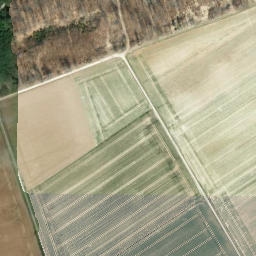 Satellite imagery of Reesberg, DE