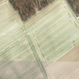Satellite imagery of Reesberg, DE