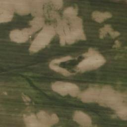 Satellite imagery of Sommering, DE
