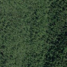 Satellite imagery of Codville Hill, CA