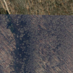 Satellite imagery of Kalter Buschkopf, DE