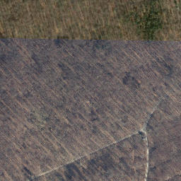 Satellite imagery of Kalter Buschkopf, DE