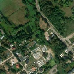 Satelita