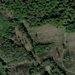 Satellite imagery of Schierholzberg, DE