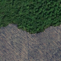 Satellite imagery of Ohe, DE