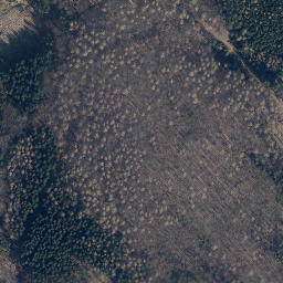 Satellite imagery of Papenberg, DE