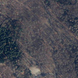 Satellite imagery of Kalter Buschkopf, DE
