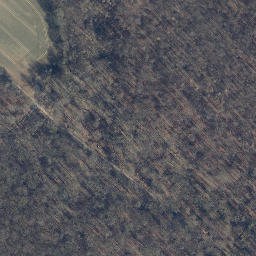 Satellite imagery of Köppelmannsberg, DE