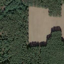 Satellite imagery of Finkenberg, DE