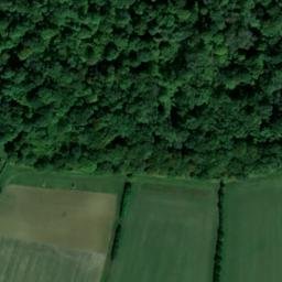 Satellite imagery of Chrishall Park Wood, GB
