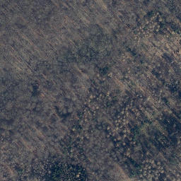 Satellite imagery of Köppelmannsberg, DE