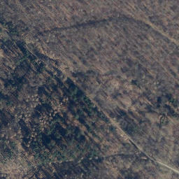 Satellite imagery of Köppelmannsberg, DE