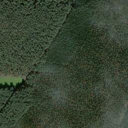 Satellite imagery of Finkenberg, DE