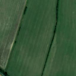 Satellite imagery of Chrishall Park Wood, GB