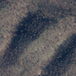 Satellite imagery of Bärenkopf, DE