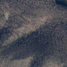 Satellite imagery of Bärenkopf, DE