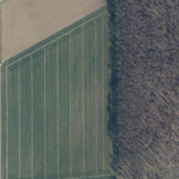Satellite imagery of Kleiner Scholteichberg, DE