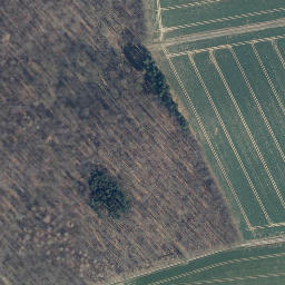 Satellite imagery of Kleiner Scholteichberg, DE