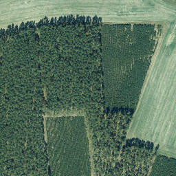 Satellite imagery of Spitzberg, DE