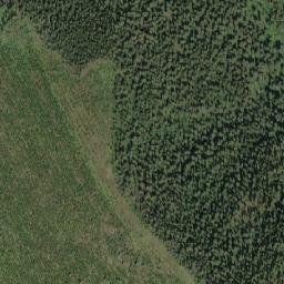 Satellite imagery of Corkscrew Mountain, CA