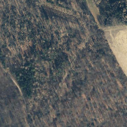 Satellite imagery of Haidkopf, DE