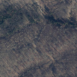 Satellite imagery of Steinberg, DE