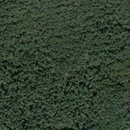 Satellite imagery of Burgberg, DE