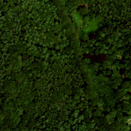 Satellite imagery of Rosendael, NL
