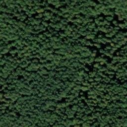 Satellite imagery of Kalte Nase, DE