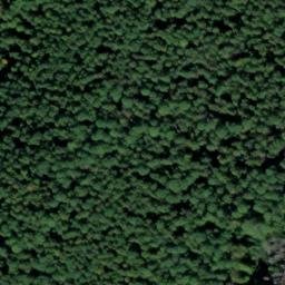Satellite imagery of Pyrmonter Berg, DE