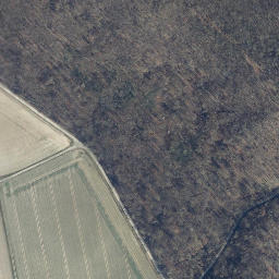 Satellite imagery of Bärenkopf, DE