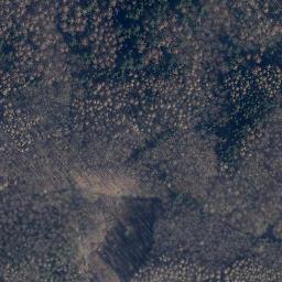 Satellite imagery of Pagenberg, DE