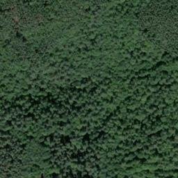 Satellite imagery of Golmberg, DE