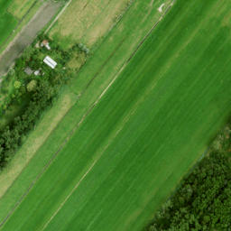 Satellite imagery of Walenburg, NL